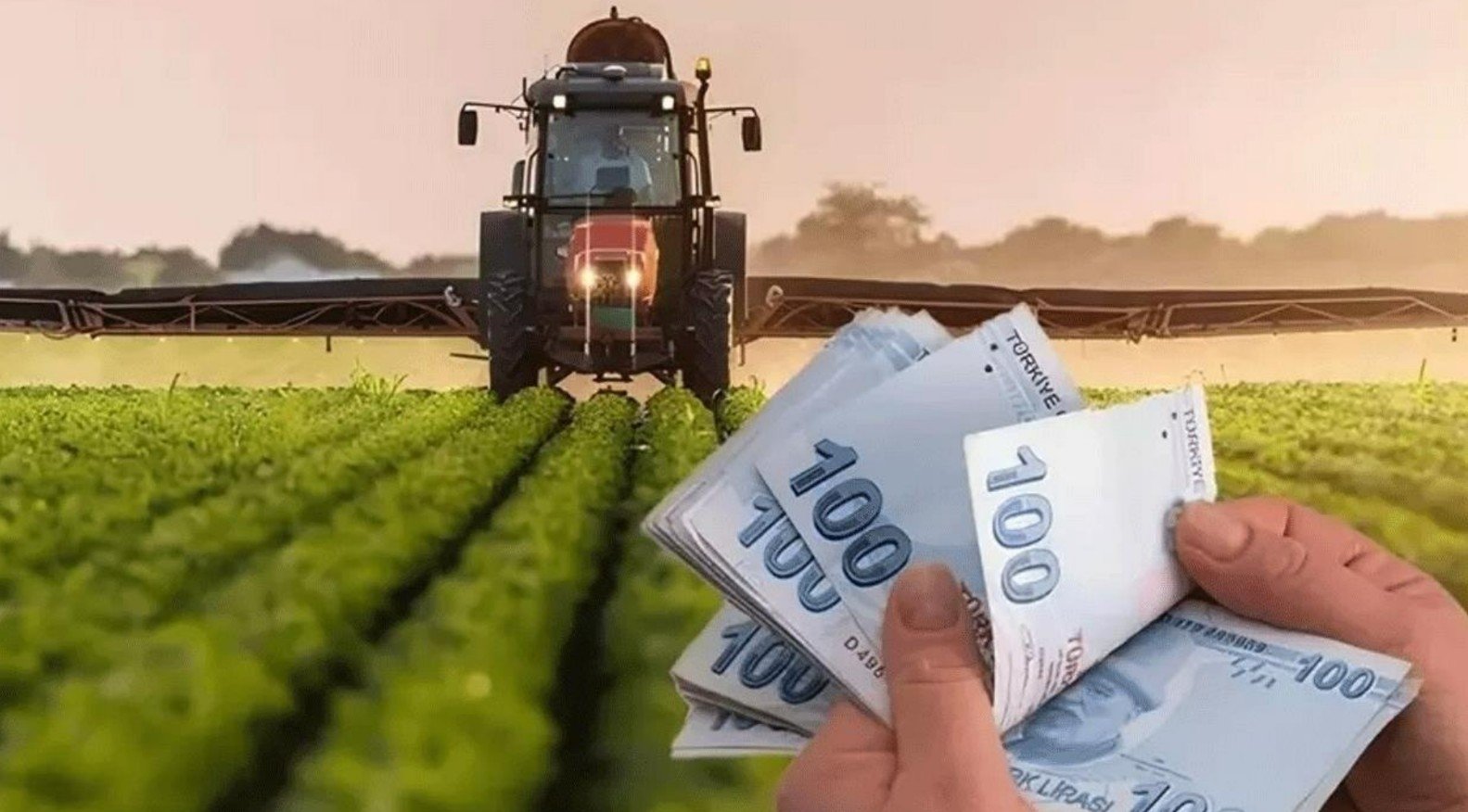 ciftcilerin yeni gozdesi o urun oldu eL8GVUXK