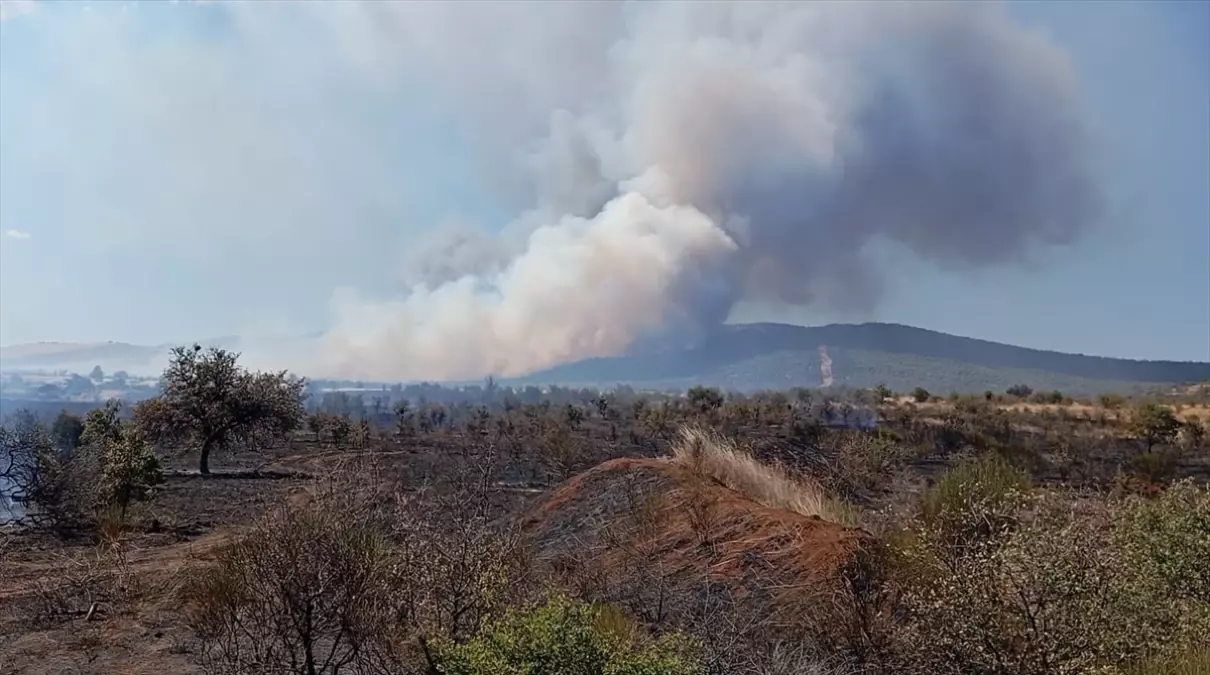 geliboluda tarim arazisinde yangin D61lEXGH