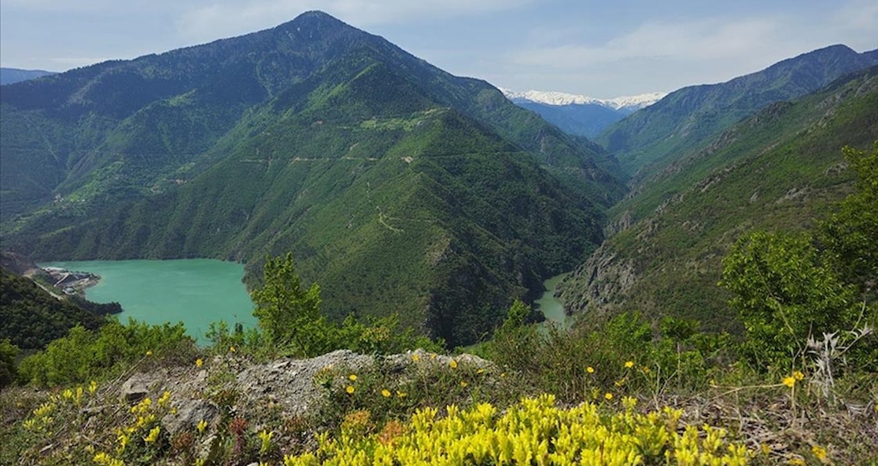 karadenizin en saglikli sehri belli oldu PLwsspjO