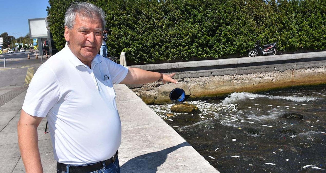 tedirgin eden goruntu buralarda sakin balik tuketmeyin g675DcMY