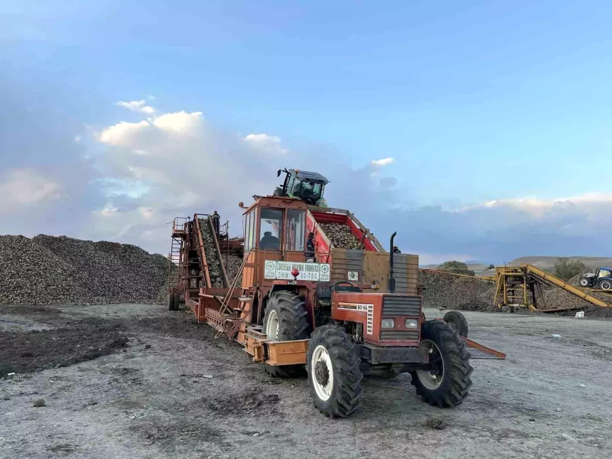 karsta seker pancari hasadi zamanla yarisiyor 6WE2NIex.jpg