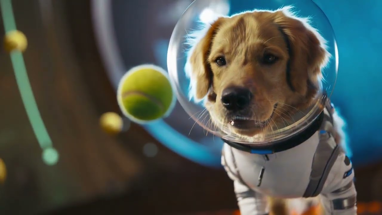 openai sora uygulamasini yayinladi tiktok rakibi 2fWCCcxy