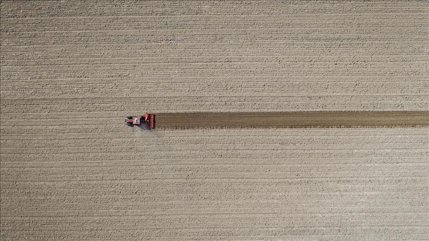 tarim ufe eylulde artti tbB6MHOk.jpg