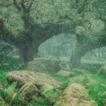 Doggerland’da Binlerce Yıl Önce Kaybolan Hazine Gün Yüzüne Çıktı