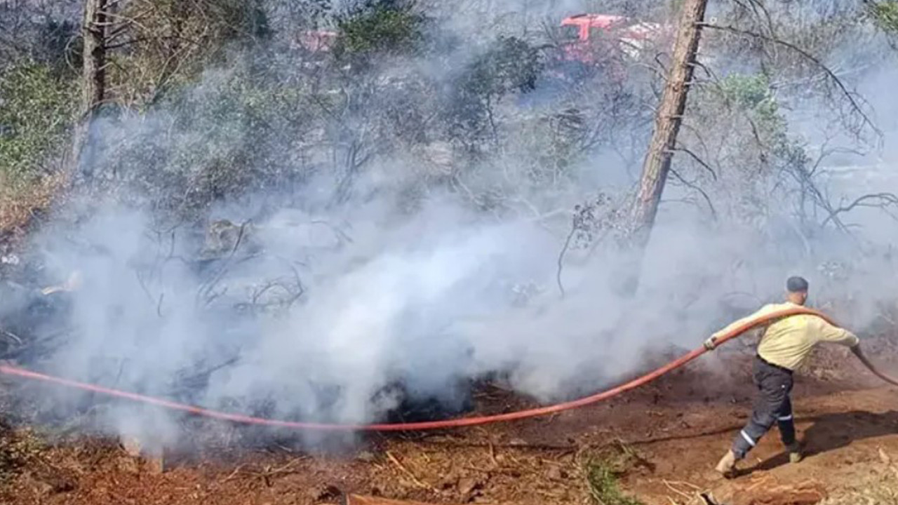 hatayda-orman-yangini-a4kwRQFm